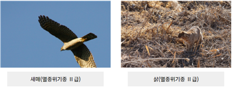 문경 돌리네습지