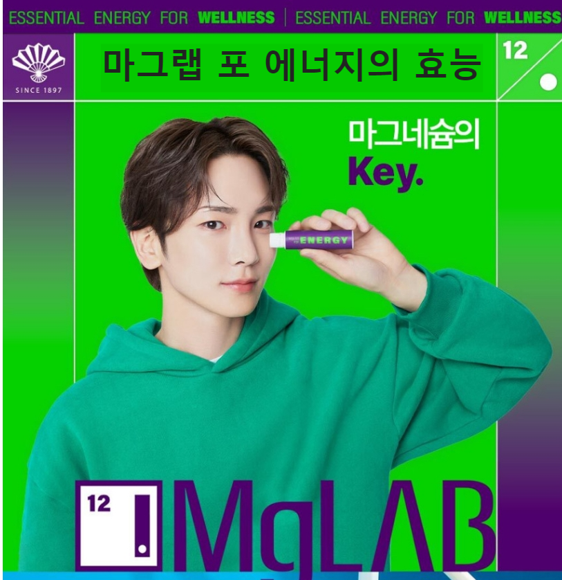 마그랩 포 에너지-
