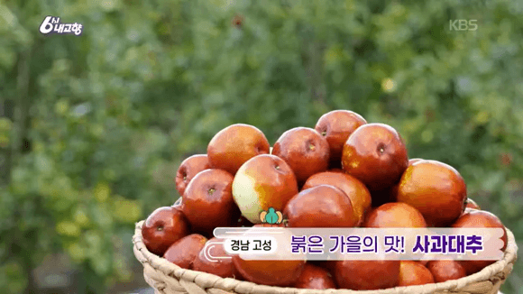 경남 고성 사과대추&amp;#44; 요리 