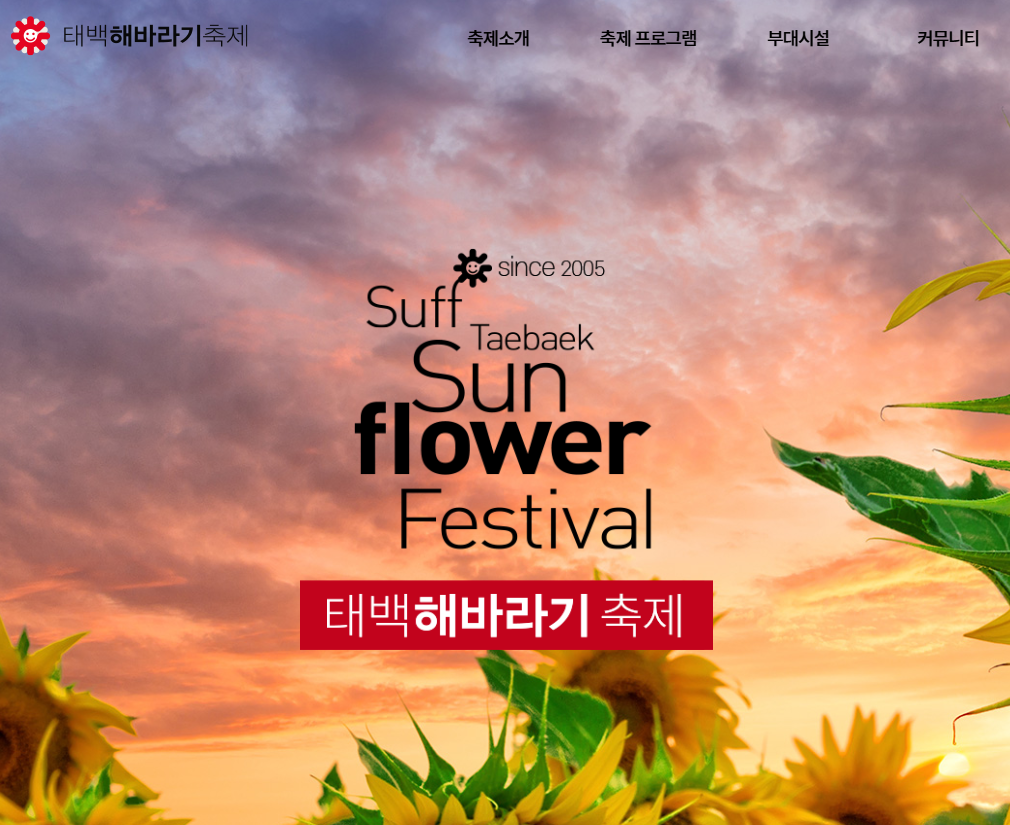 해바라기 축제