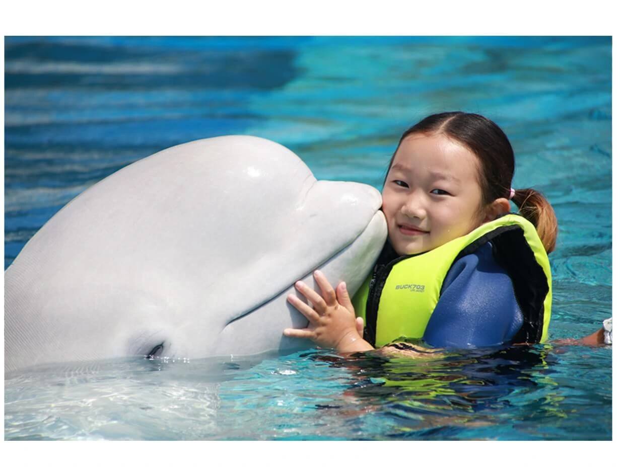 거제 둔덕 포도 한우 축제 기본정보&#44; 거제도 섬여행