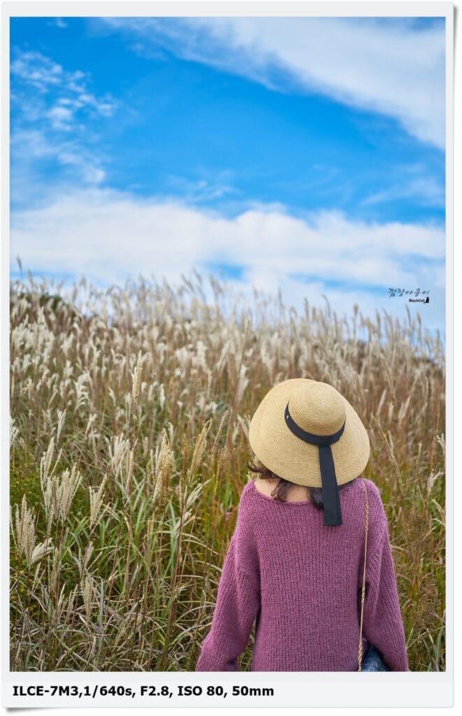 가을의 정취를 느낄 수 있는 합천 황매산 억새군락지, 설마 아직 안가본건 아니지?