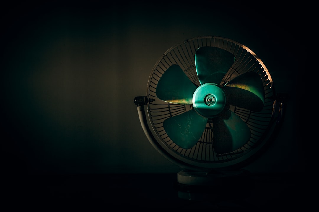 Fan