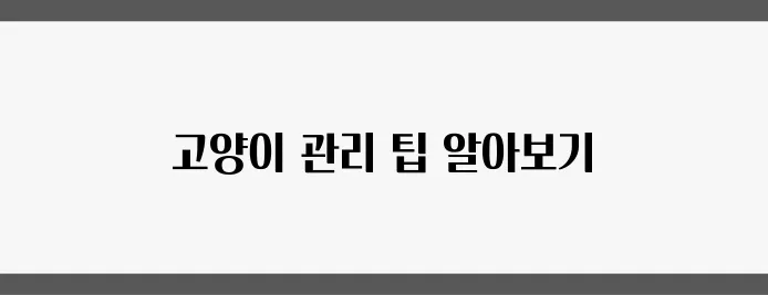 고양이를 잘 키우는 비결: 관리의 핵심과 비용 절약의 팁!