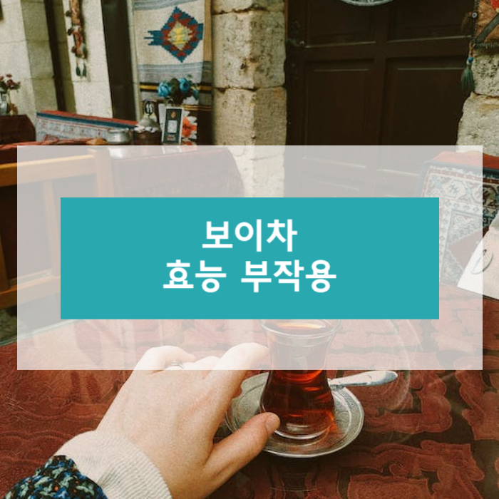 보이차에 대하여