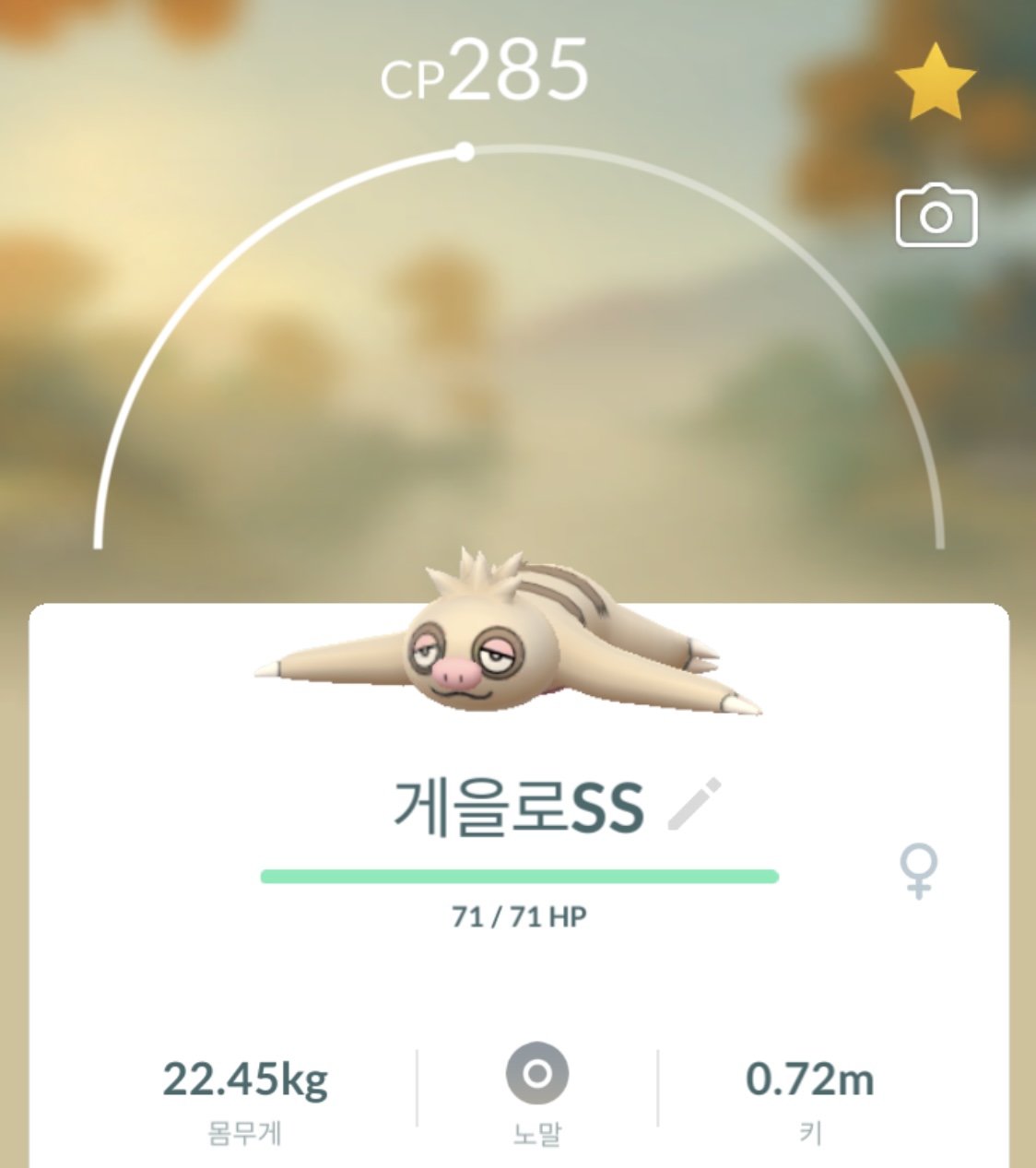 게을로 속성 노말