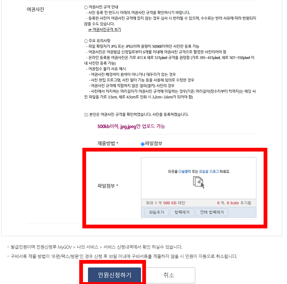 온라인 여권 재발급