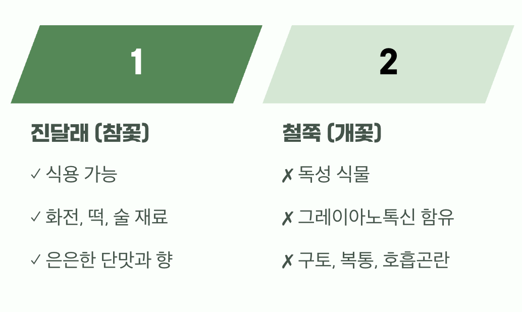 왜 절대 헷갈리면 안 될까요?