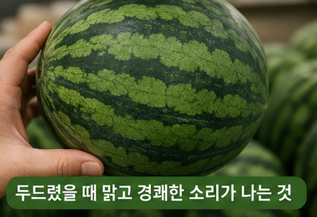 소리