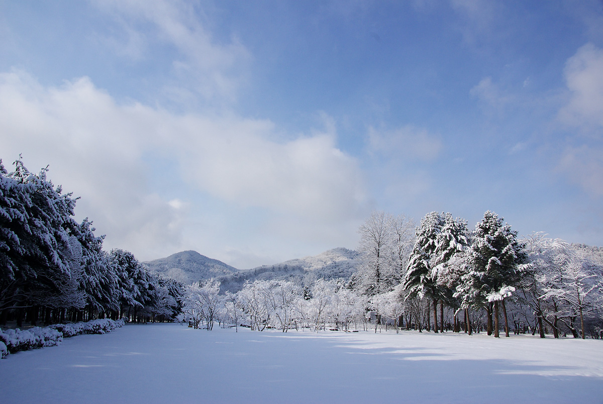 국내겨울여행지 남이섬