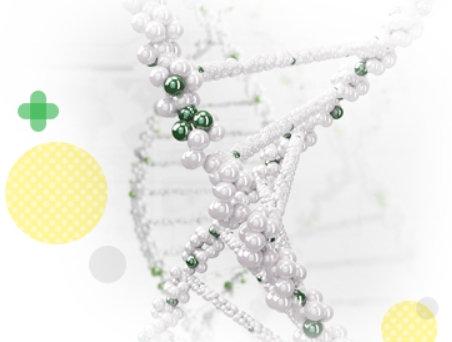 녹십자엠에스 이미지