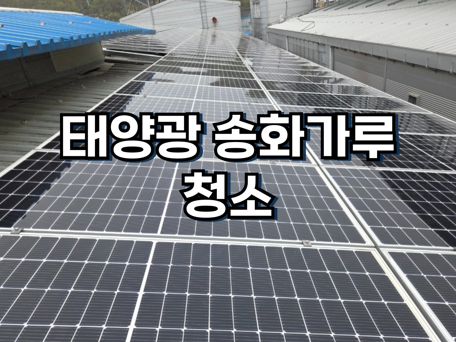 태양광 송화가루 청소 텍스트와 로봇이 패널을 청소하는 모습 배경 이미지