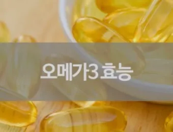 오메가3 효능 부작용 복용법으로_14