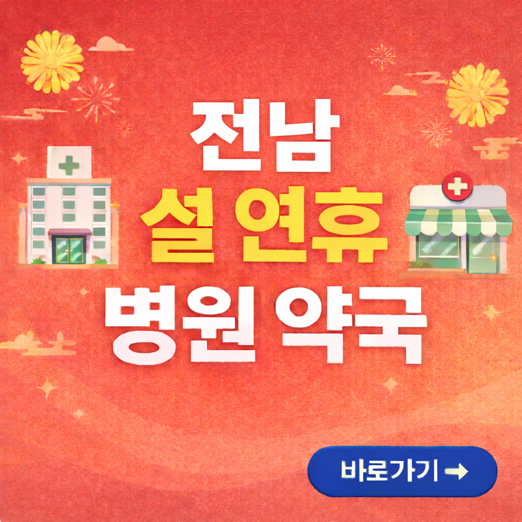 전남 설연휴 병원, 약국 찾기