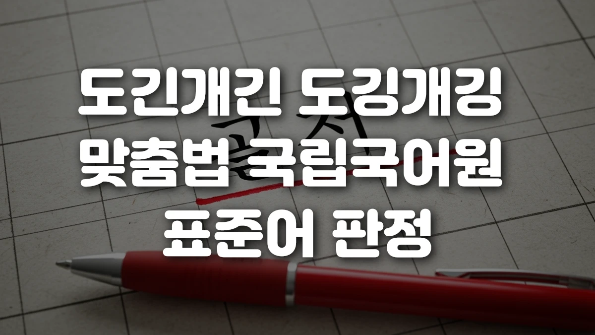 도긴개긴 도깅개깅 맞춤법 국립국어원 표준어 판정