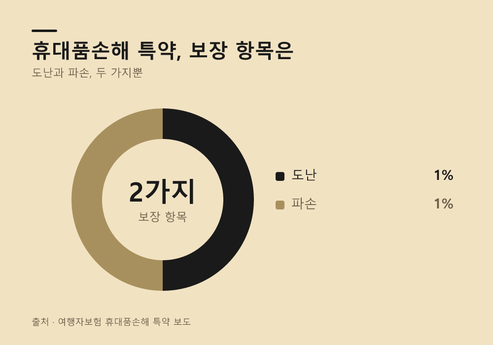 소매치기 피해도 보장 상품으로 해결할 수 있을까?