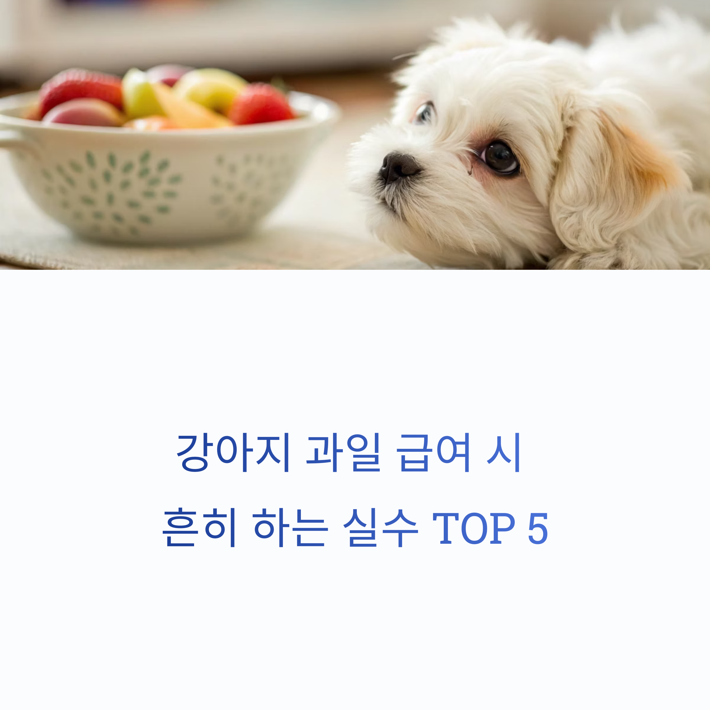 강아지 과일 급여 실수
