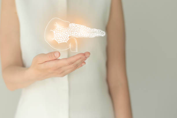 이 이미지는 췌장암 초기증상 및 원인 및 완치율에 관한 포스팅을 설명하기 위한 참고 사진입니다.