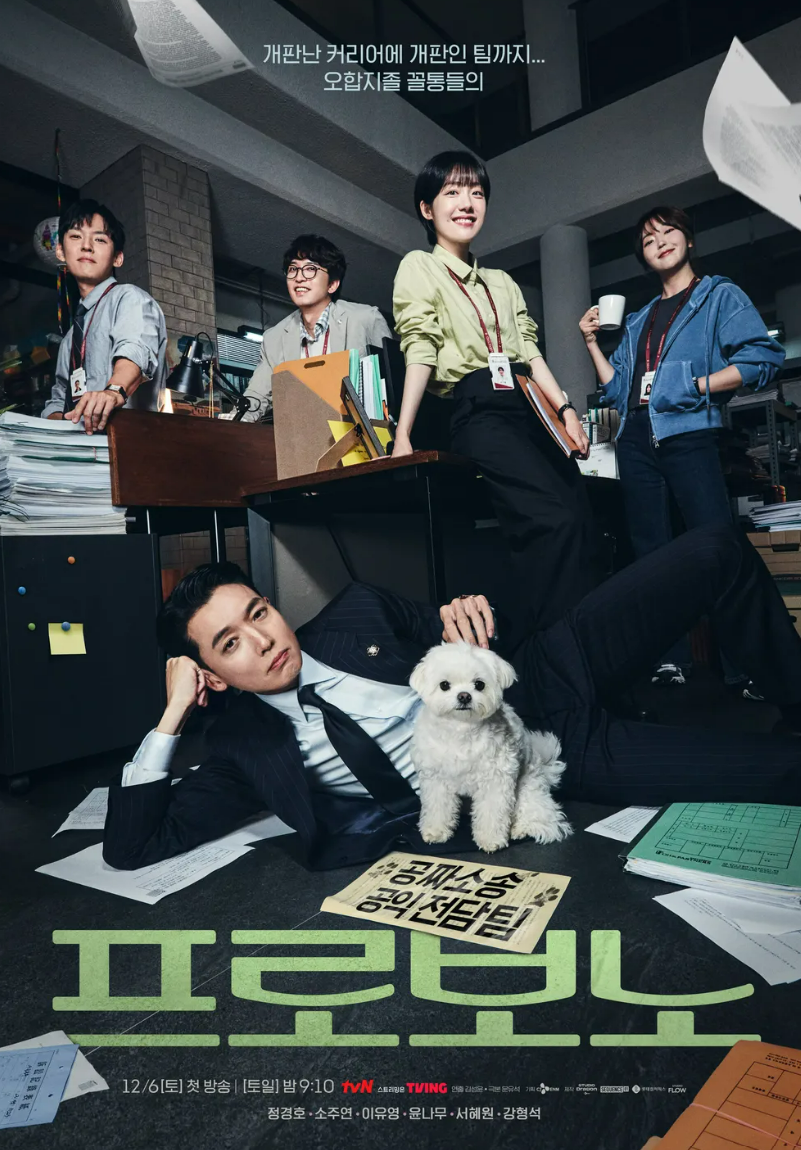 프로보노 포스터