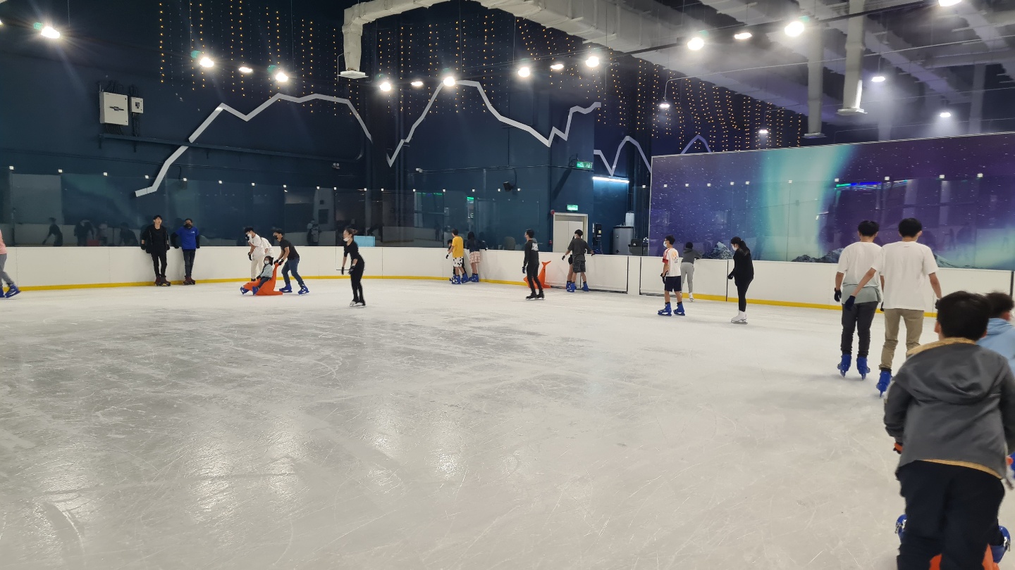 아이스 스케이팅