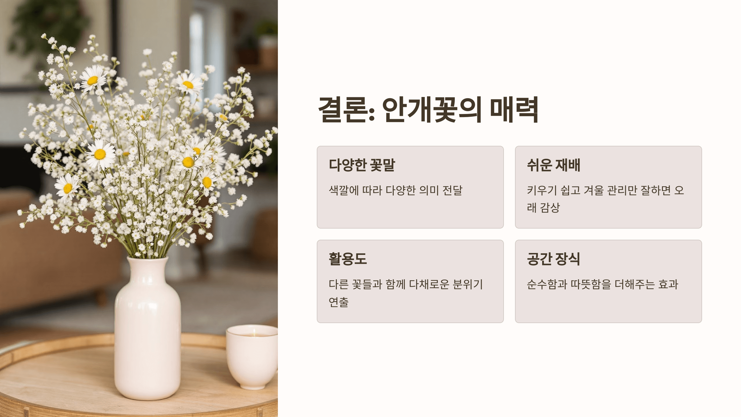 안개꽃 사진입니다.