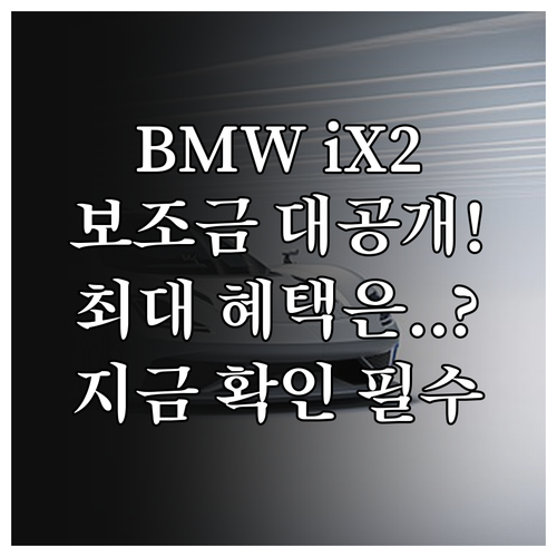 BMW iX2 eDrive20 구매 ..