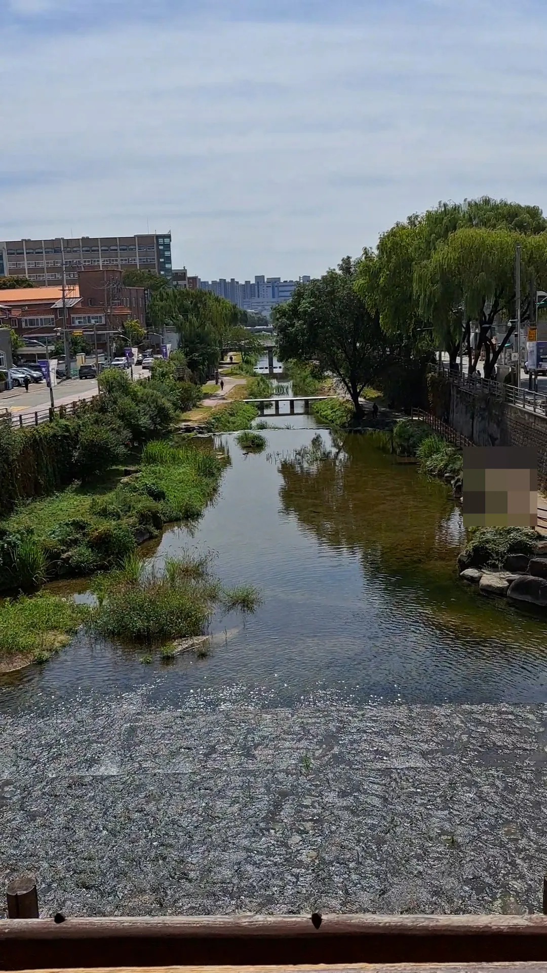 수원-화성-북수문-화홍문-수원천-버드나무-맑은-물
