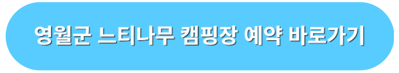 영월군 느티나무 캠핑장 예약 바로가기