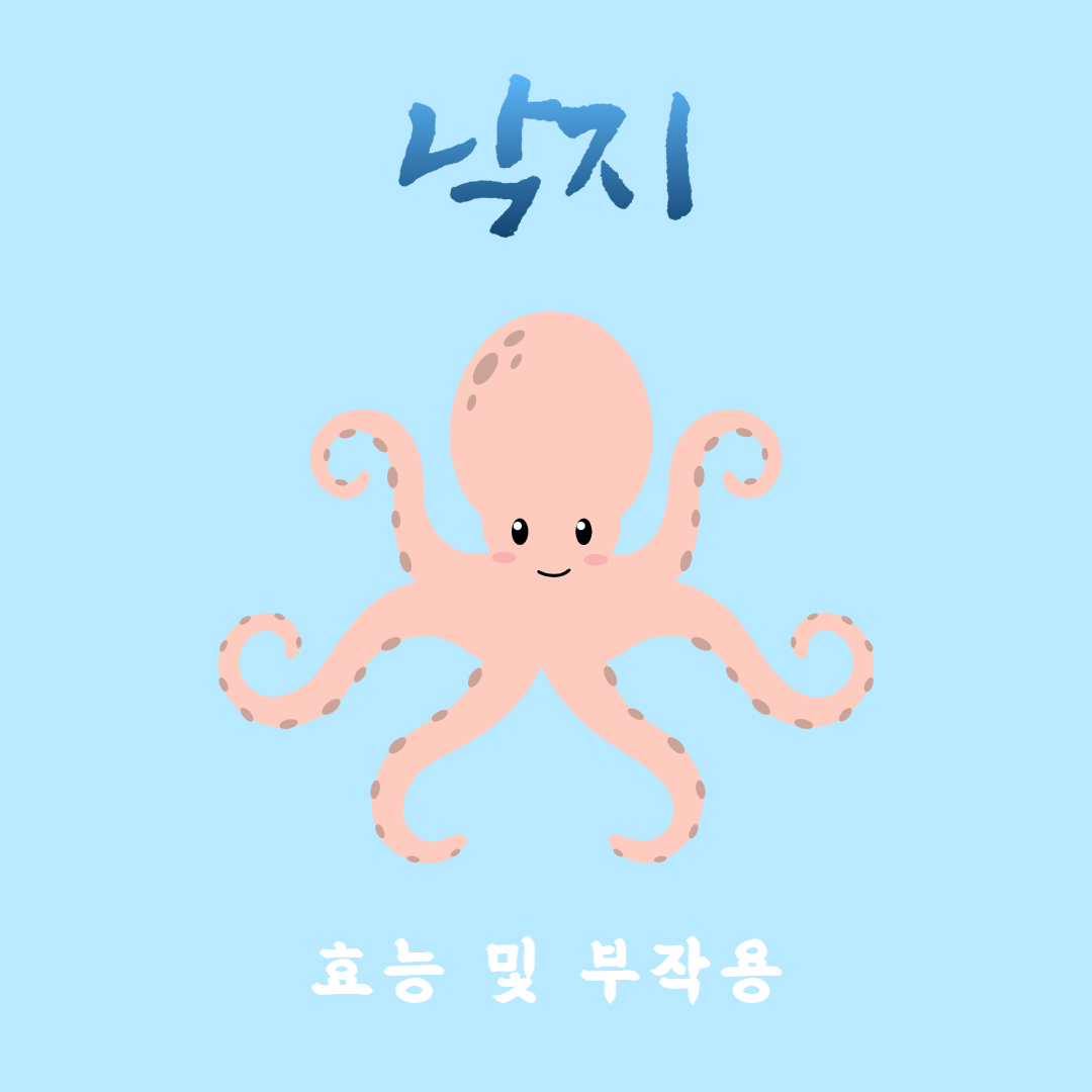 낙지 효능 부작용