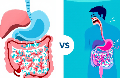 프리바이오틱스 효과