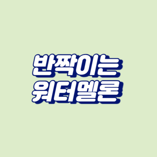 반짝이는 워터멜론