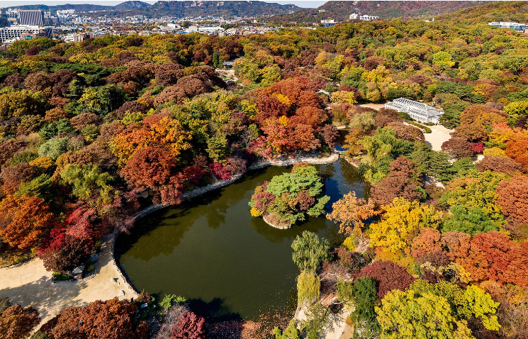 창경궁 물빛연화