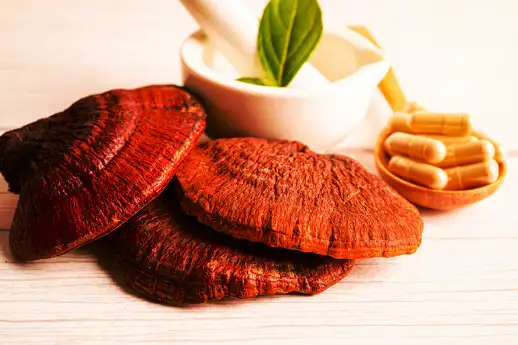 영지버섯 효능 효과 및 부작용 먹는 방법