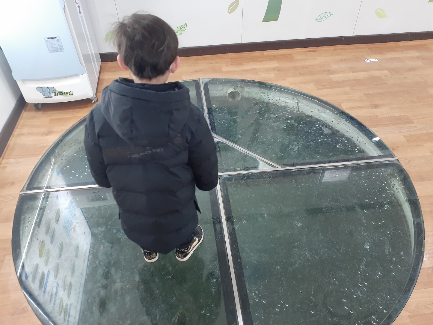 민물고기전시관열대어전시관