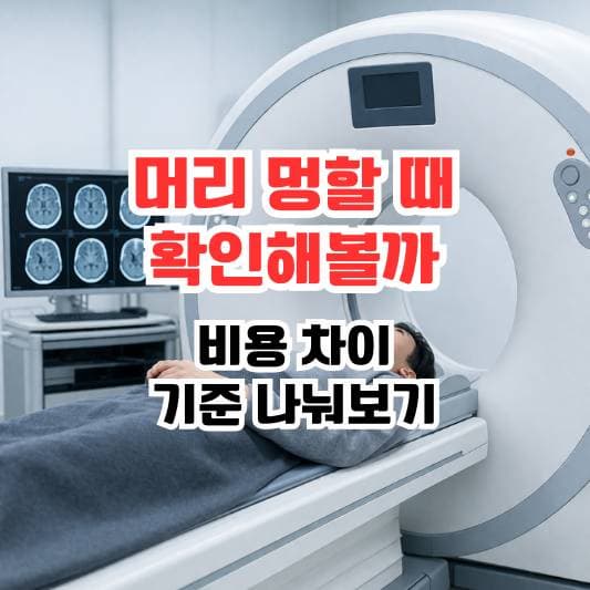 뇌 CT 검사 관련 이미지