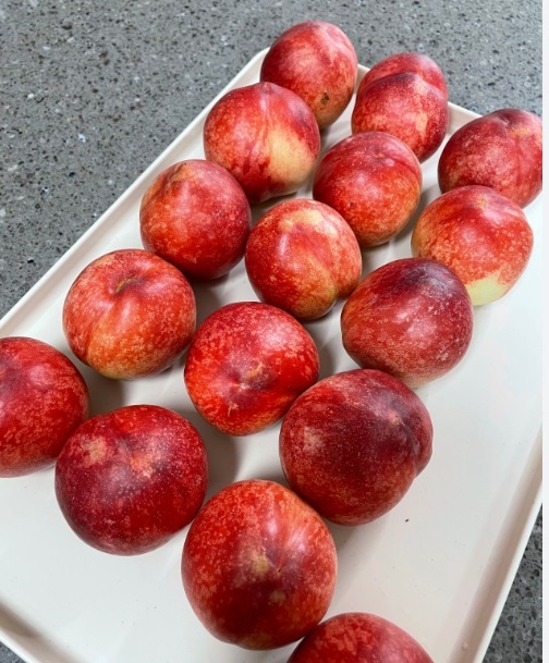 6시내고향-영천-대극천-복숭아