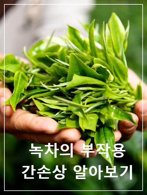 녹차의 부작용 간손상