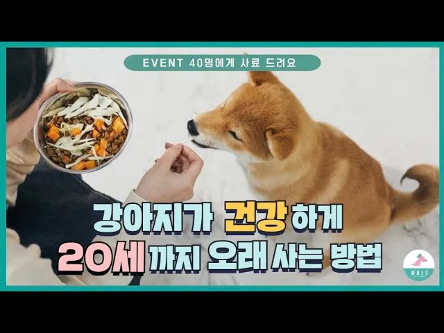 강아지 오래사는 신장관리 비법 생활습관_6