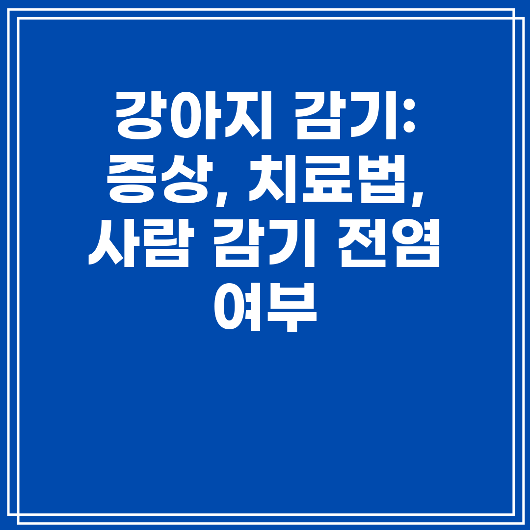 강아지 감기 증상, 치료법, 사람 감기 전염 여부