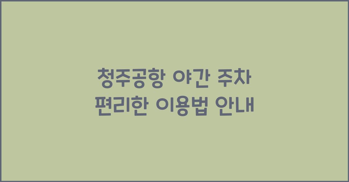 청주공항 야간 주차
