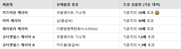 서울 YWCA어린이용 캐리어 검사