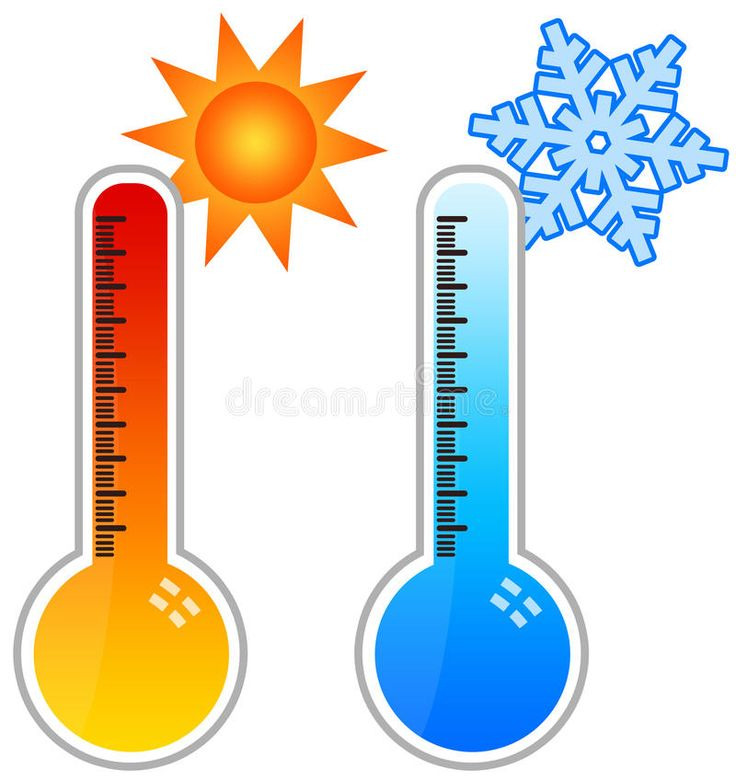 여름과 겨울의 사진