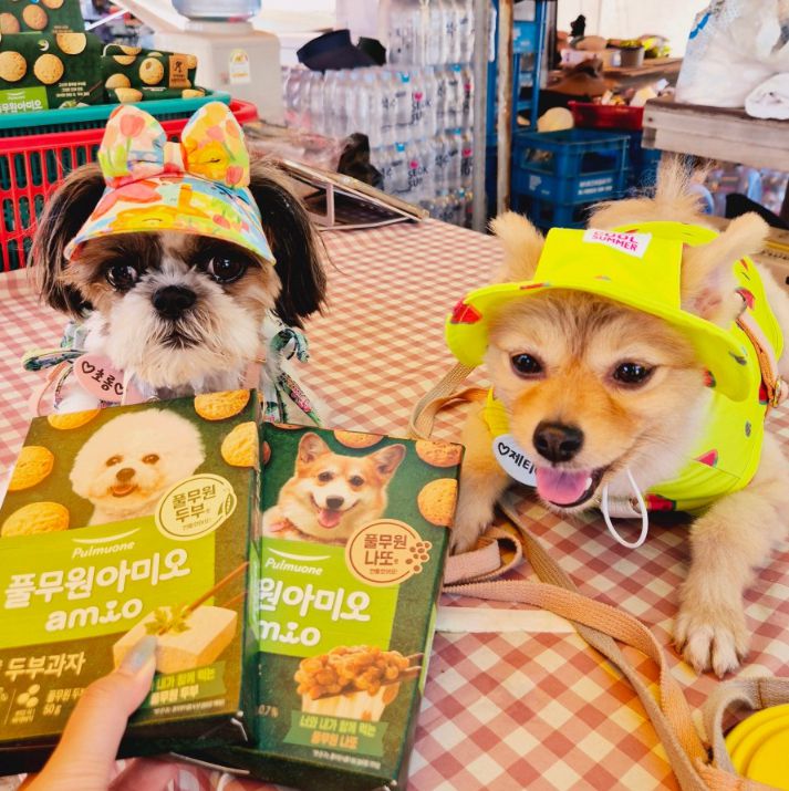 멍비치