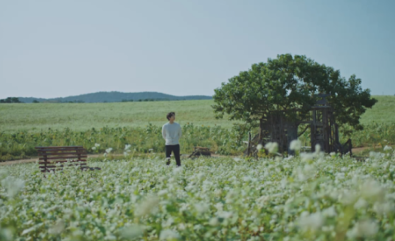 고창-청보리밭-축제