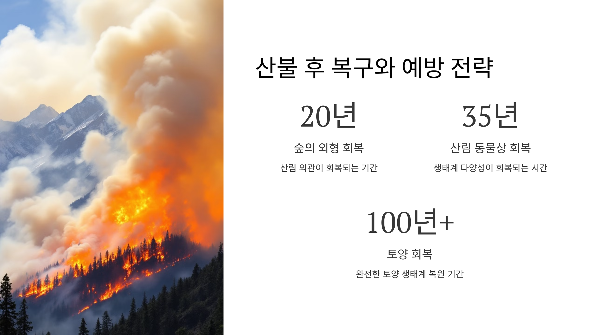 산불 후 복구와 예방 전략