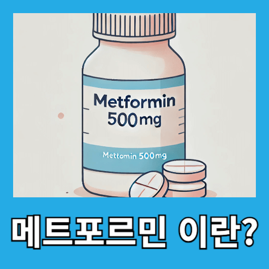 메트포르민이란?