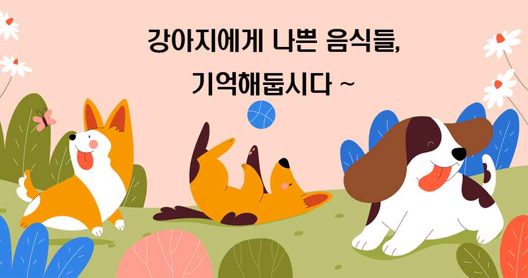 강아지에게 나쁜 음식들, 강아지에게 해로운 음식들