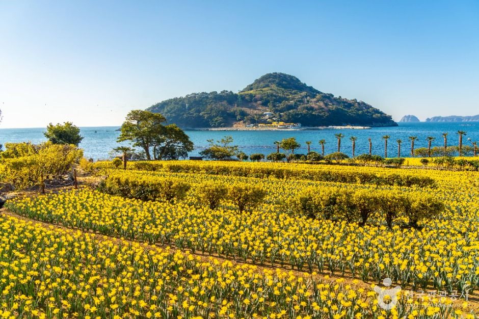 거제도 가볼만한곳 베스트10