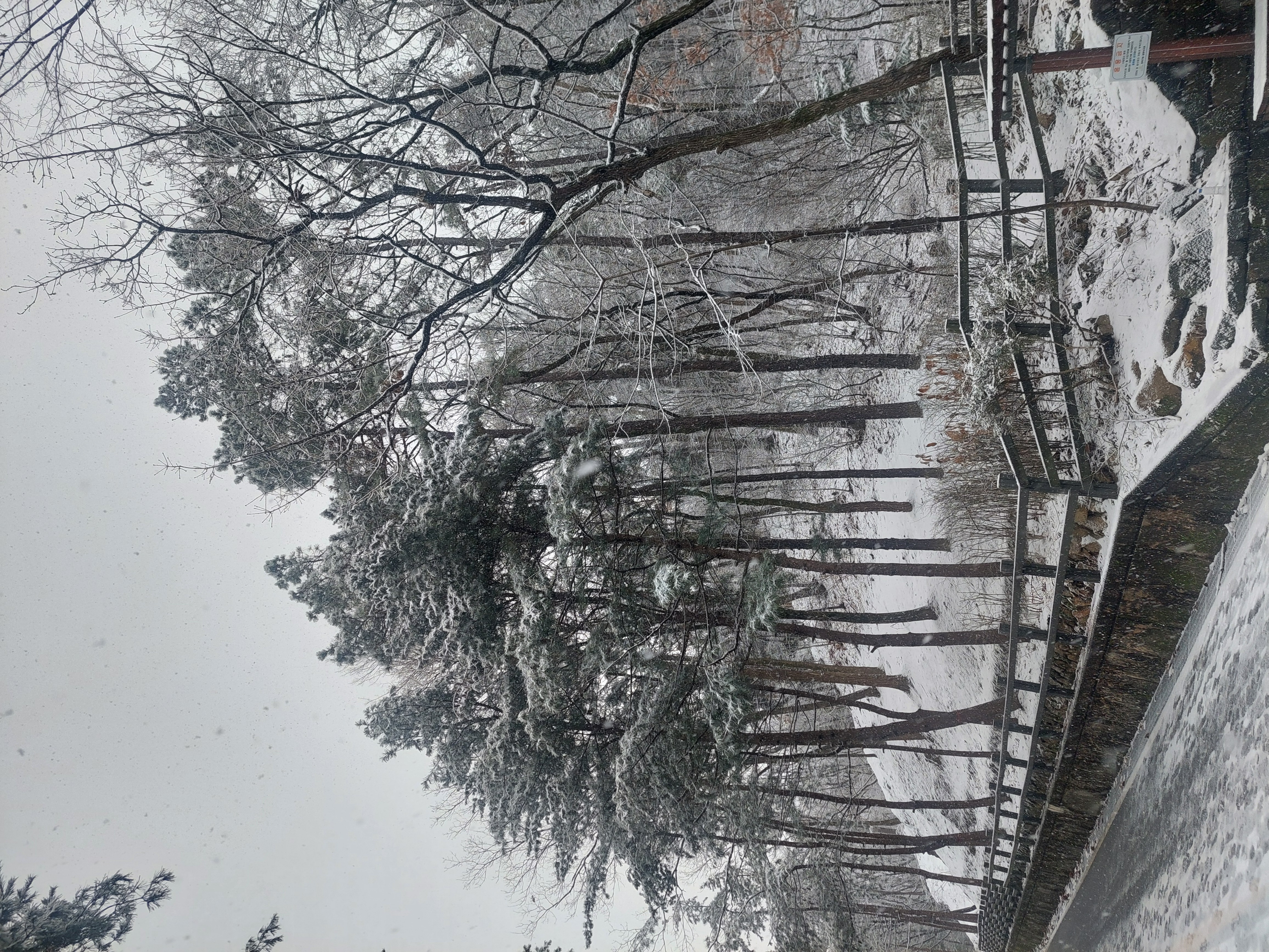 관악산