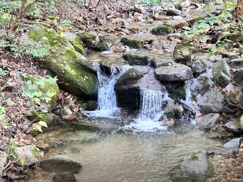 횡성자연휴양림